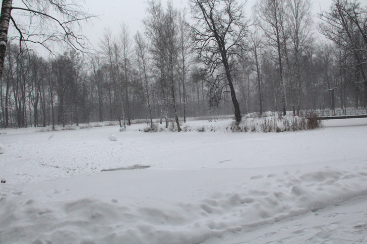 Зимняя прогулка по Майданово (фото В.Кузьмин, январь, 2024)