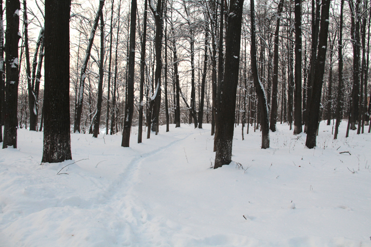 Зимняя прогулка по Майданово (фото В.Кузьмин, январь, 2024)