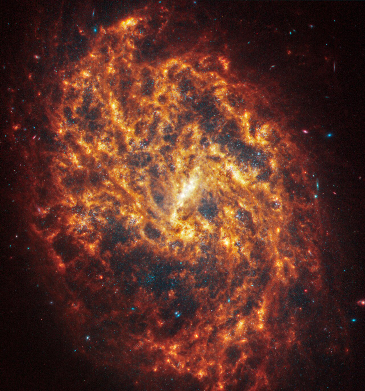 Галактика NGC 1087. Credit: NASA, ESA, CSA, STScI, J. Lee (STScI), T. Williams (Oxford), PHANGS Team, E. Wheatley (STScI)