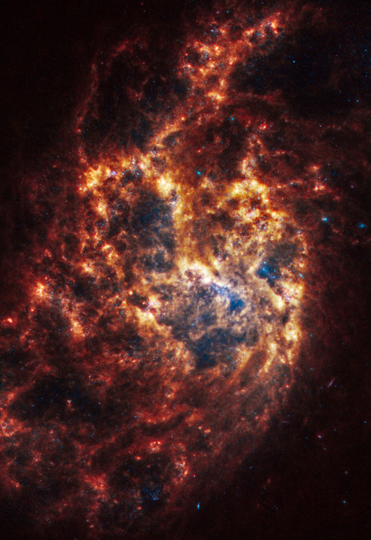 Галактика NGC 1385. Credit: NASA, ESA, CSA, STScI, J. Lee (STScI), T. Williams (Oxford), PHANGS Team, E. Wheatley (STScI)