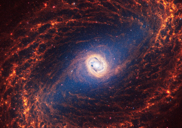 Галактика NGC 1433. Credit: NASA, ESA, CSA, STScI, J. Lee (STScI), T. Williams (Oxford), PHANGS Team, E. Wheatley (STScI)