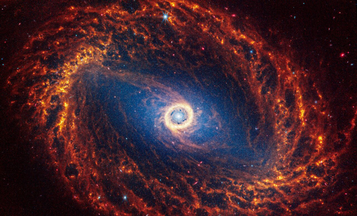 Галактика NGC 1512. Credit: NASA, ESA, CSA, STScI, J. Lee (STScI), T. Williams (Oxford), PHANGS Team, E. Wheatley (STScI)