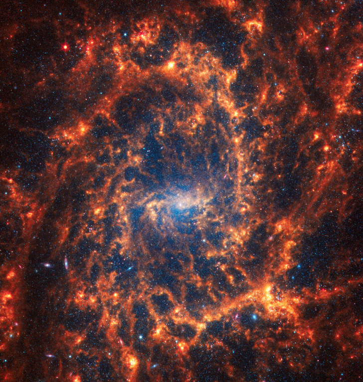 Галактика NGC 2835. Credit: NASA, ESA, CSA, STScI, J. Lee (STScI), T. Williams (Oxford), PHANGS Team, E. Wheatley (STScI)