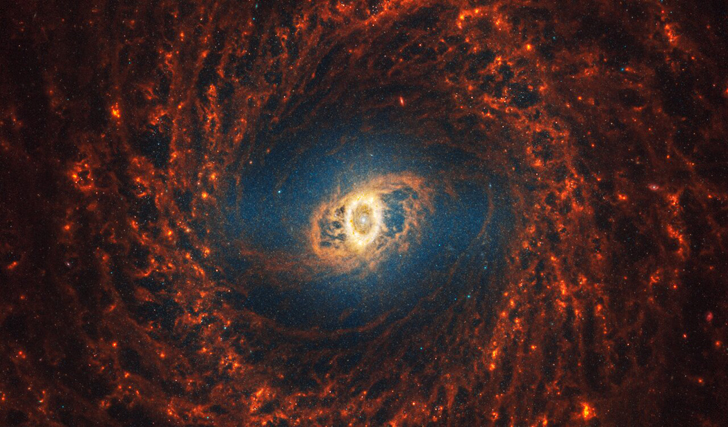 Галактика NGC 3351. Credit: NASA, ESA, CSA, STScI, J. Lee (STScI), T. Williams (Oxford), PHANGS Team, E. Wheatley (STScI)