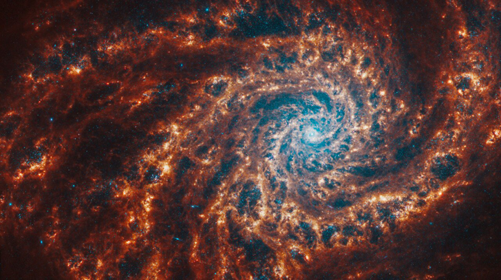 Галактика NGC 4254. Credit: NASA, ESA, CSA, STScI, J. Lee (STScI), T. Williams (Oxford), PHANGS Team, E. Wheatley (STScI)