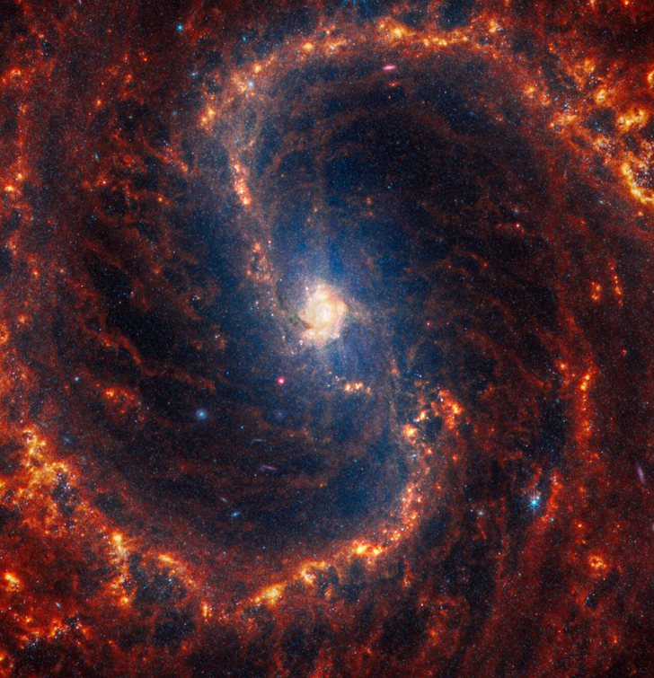 Галактика NGC 4535. Credit: NASA, ESA, CSA, STScI, J. Lee (STScI), T. Williams (Oxford), PHANGS Team, E. Wheatley (STScI)