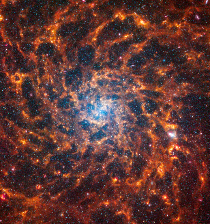 Галактика NGC 5332. Credit: NASA, ESA, CSA, STScI, J. Lee (STScI), T. Williams (Oxford), PHANGS Team, E. Wheatley (STScI)