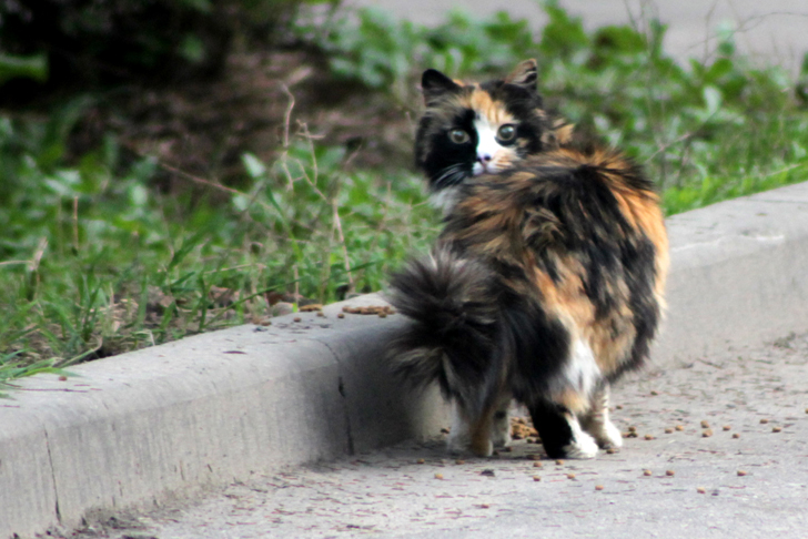 Фото из архива В.Кузьмина (фото В.Кузьмин, май, 2024)