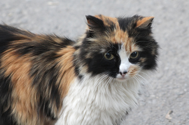 Фото из архива В.Кузьмина (фото В.Кузьмин, май, 2024)