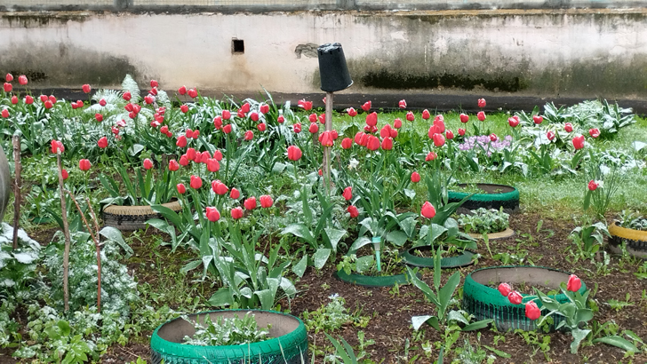 Фото из архива В.Кузьмина (фото В.Кузьмин, май, 2024)