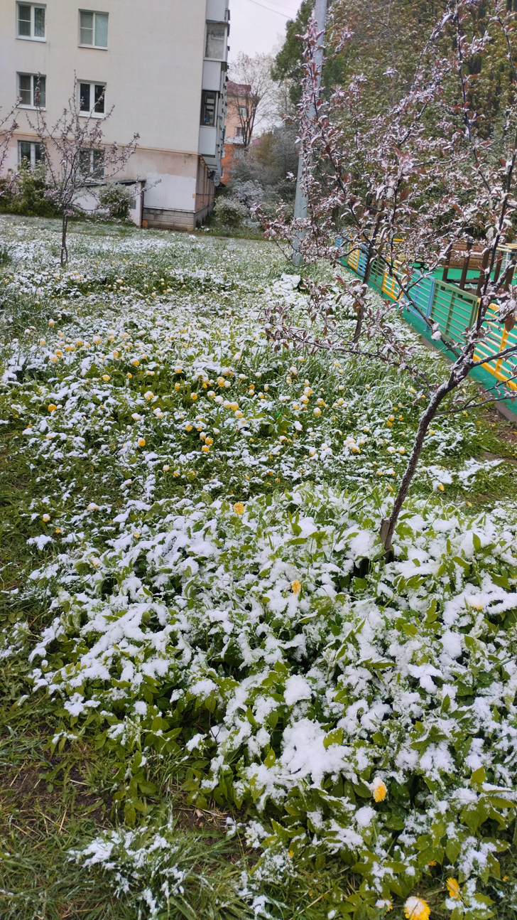 Фото из архива В.Кузьмина (фото В.Кузьмин, май, 2024)