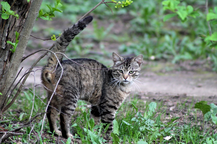 Фото из архива В.Кузьмина (фото В.Кузьмин, май, 2024)