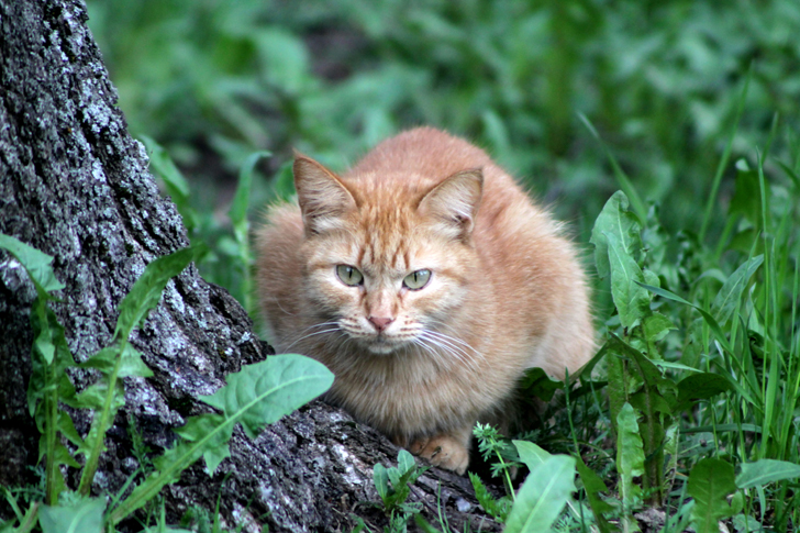 Фото из архива В.Кузьмина (фото В.Кузьмин, май, 2024)