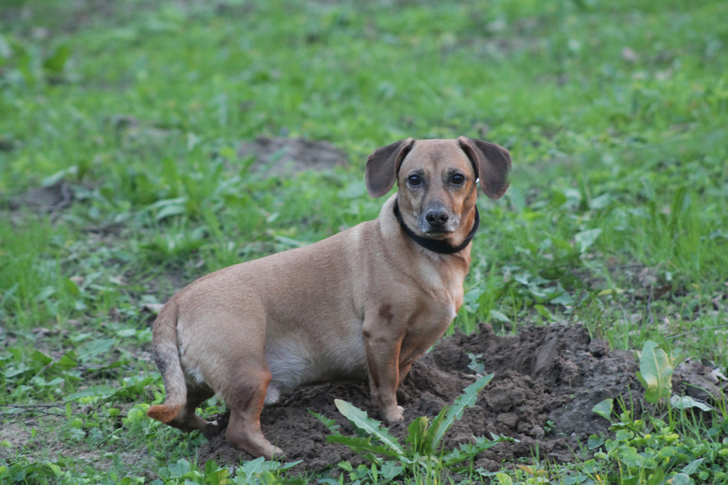 Фото из архива В.Кузьмина (фото В.Кузьмин, май, 2024)