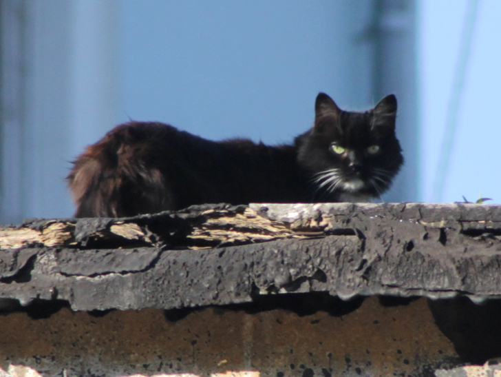 Фото из архива В.Кузьмина (фото В.Кузьмин, май, 2024)