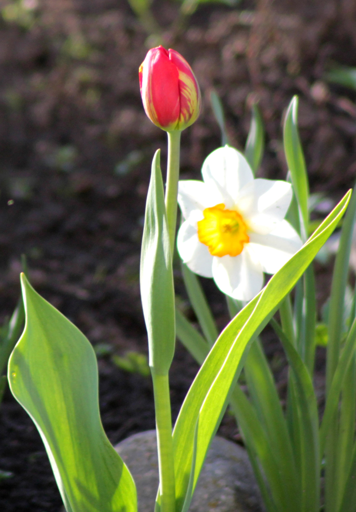 Фото из архива В.Кузьмина (фото В.Кузьмин, май, 2024)