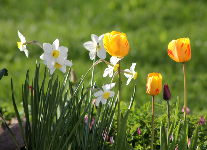 Фото из архива В.Кузьмина (фото В.Кузьмин, май, 2024)