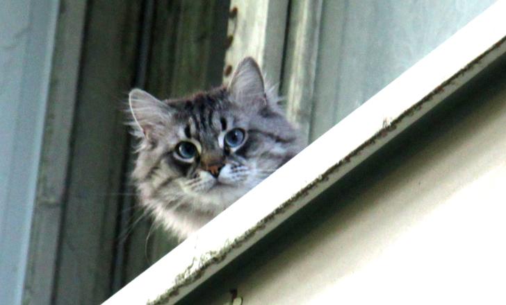 Фото из архива В.Кузьмина (фото В.Кузьмин, май, 2024)