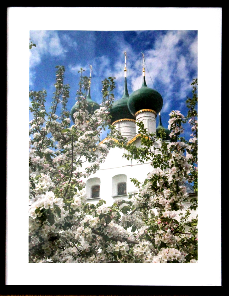 Весенняя фотовыставка в КДЦ города Высоковск (фото В.Кузьмин, май, 2024)