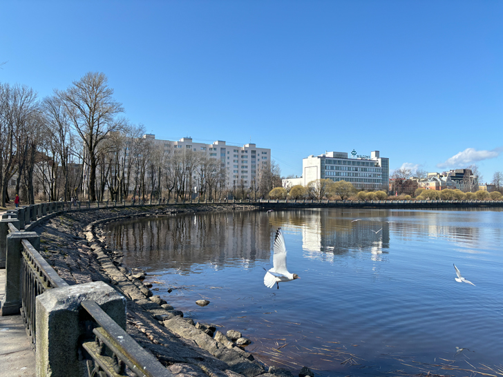 Ленинградская область, город Выборг (фото Олег Д., апрель, 2024)