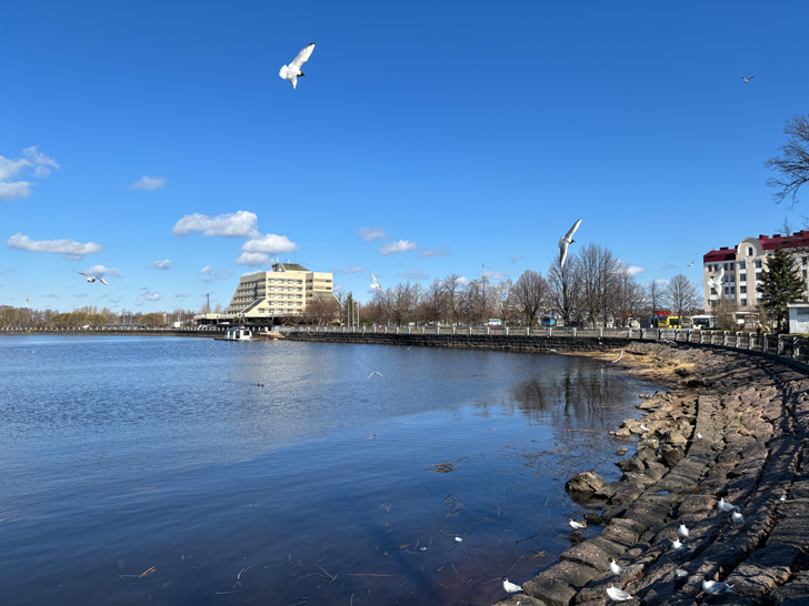 Ленинградская область, город Выборг (фото Олег Д., апрель, 2024)