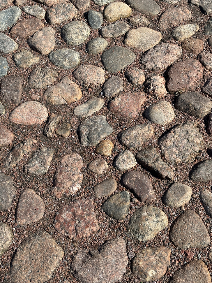 Ленинградская область, город Выборг (фото Олег Д., апрель, 2024)