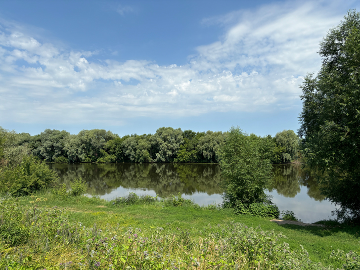 г.Коломна, Московская область (фото Олег Д., июль, 2024)