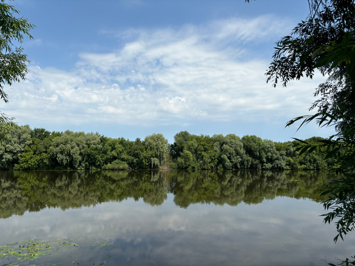 г.Коломна, Московская область (фото Олег Д., июль, 2024)