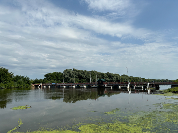 г.Коломна, Московская область (фото Олег Д., июль, 2024)