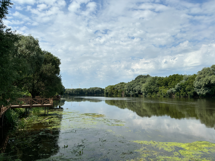 г.Коломна, Московская область (фото Олег Д., июль, 2024)