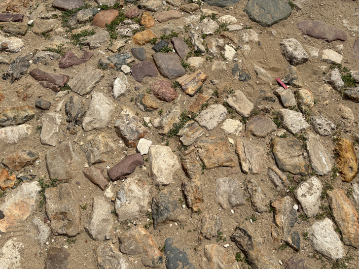 г.Коломна, Московская область (фото Олег Д., июль, 2024)