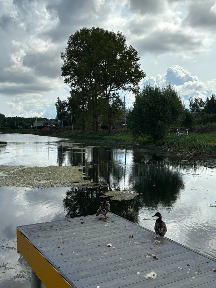 Поселок городского типа Лотошино (фото Олег Д., август, 2024)