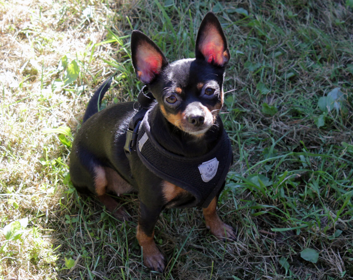 Фото В.Кузьмин (сентябрь, 2024)