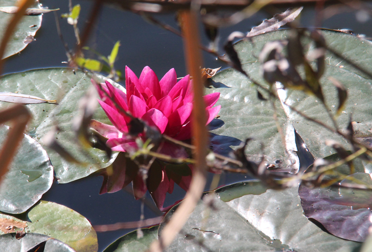 Фото В.Кузьмин (сентябрь, 2024)