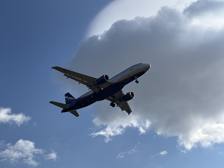 Фото Олег Д. (сентябрь, 2024)