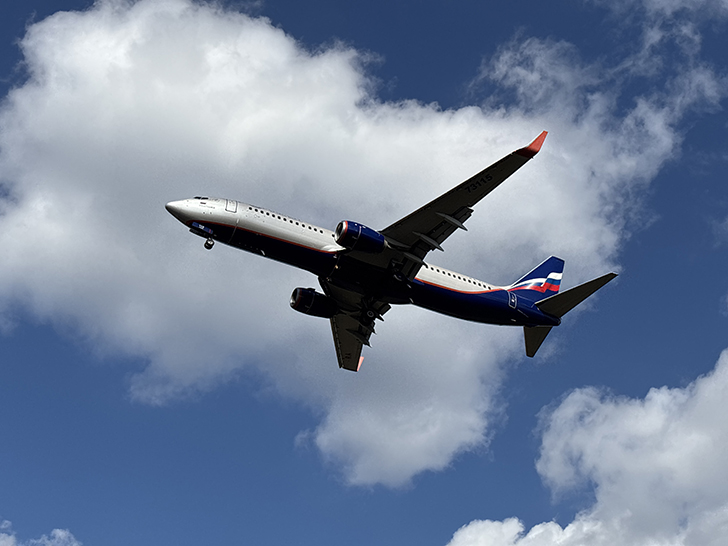 Фото Олег Д. (сентябрь, 2024)