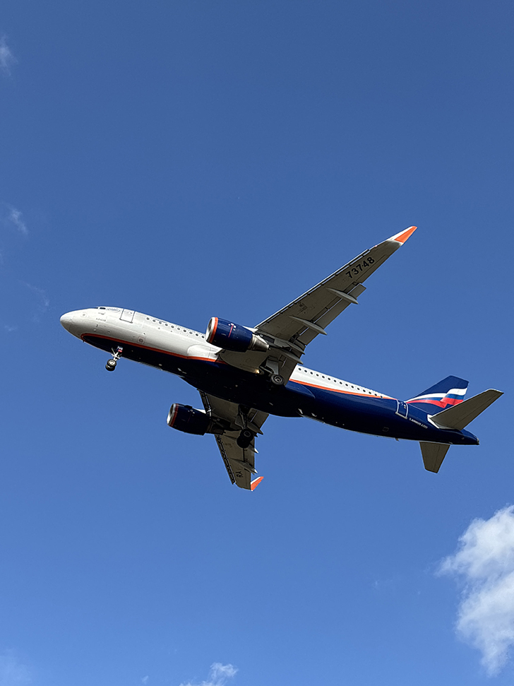 Фото Олег Д. (сентябрь, 2024)