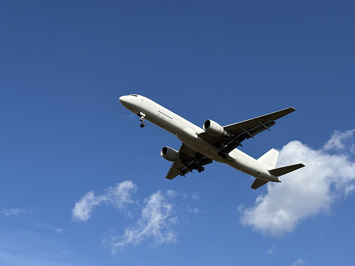 Фото Олег Д. (сентябрь, 2024)