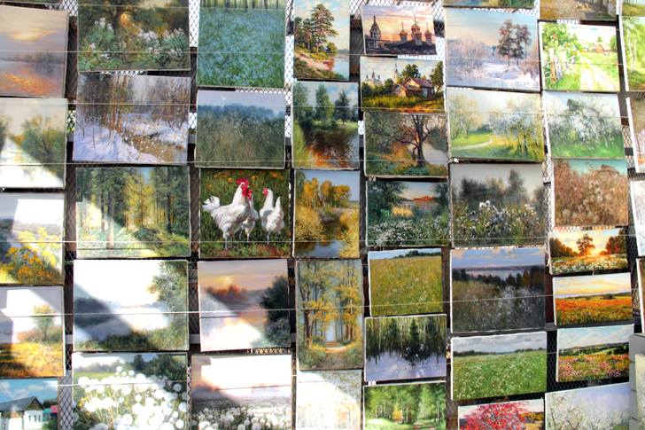 Фото В.Кузьмин (г.Москва, сентябрь, 2024 год)