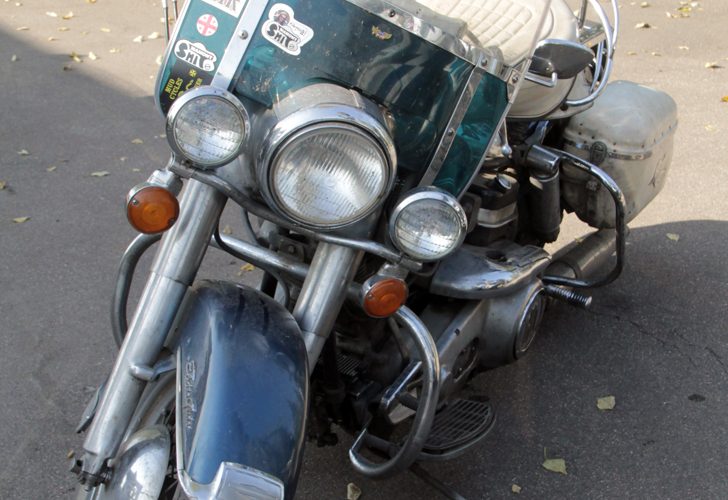 Фото В.Кузьмин (г.Москва, сентябрь, 2024 год)