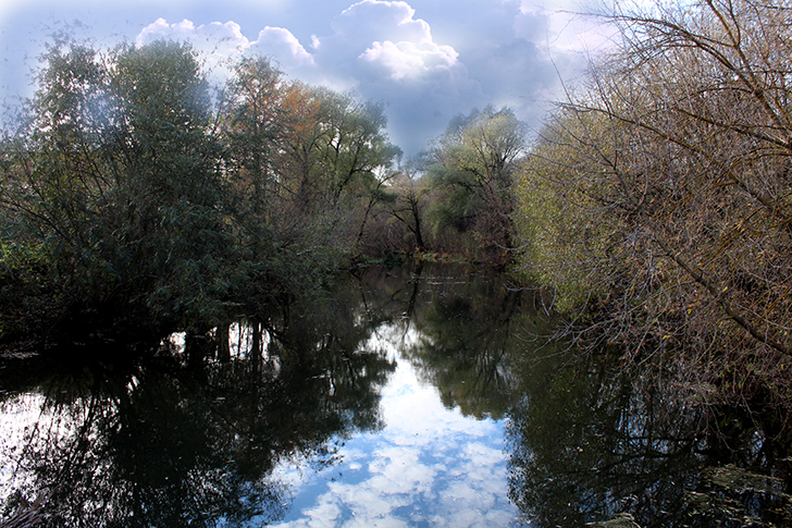 Город Клин, река Сестра (фото В.Кузьмин, октябрь, 2024)