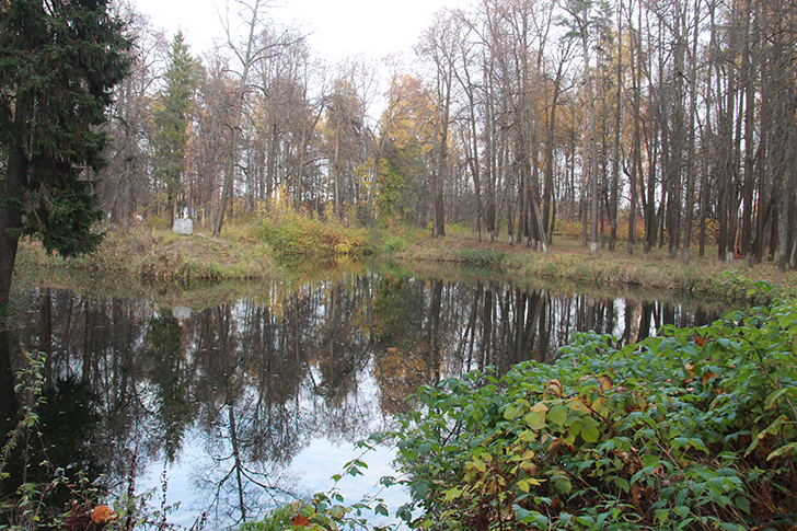Город Клин, река Сестра (фото В.Кузьмин, октябрь, 2024)