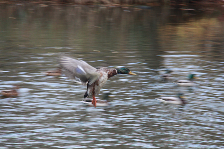 фото В.Кузьмин (октябрь, 2024)