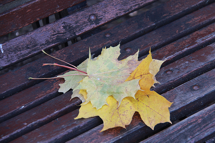 фото В.Кузьмин (октябрь, 2024)