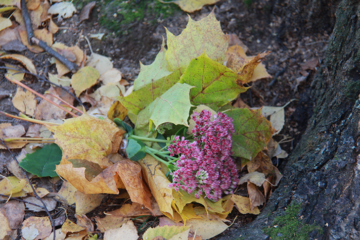 фото В.Кузьмин (октябрь, 2024)