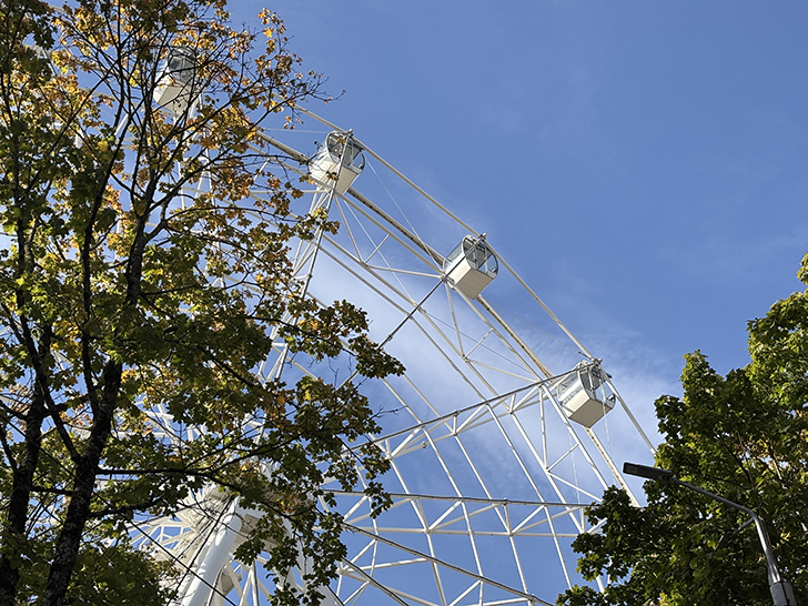 Смоленск (фото Олег Д., октябрь, 2024)