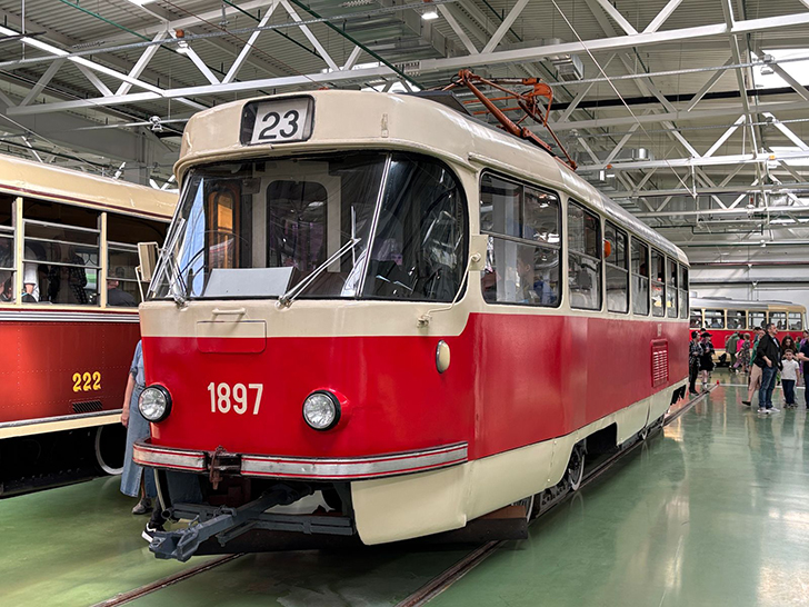 Фото Олег Д. (Москва, апрель, 2025)