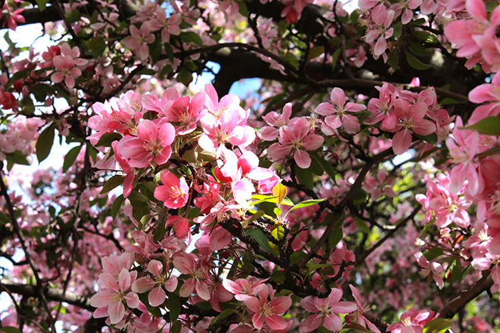 Фото В.Кузьмин (Москва, 9 мая 2025)