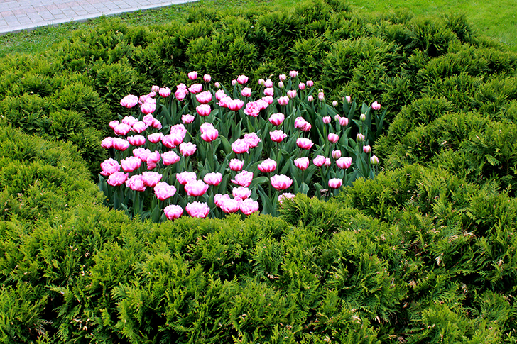 Фото В.Кузьмин (Москва, 9 мая 2025)