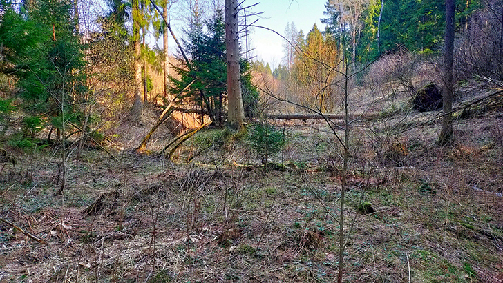 Фото В.Кузьмин (май, 2025)